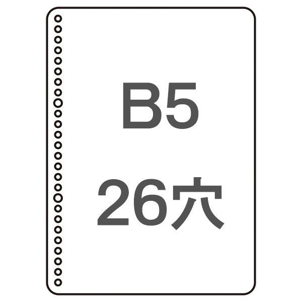 コクヨ 三色刷ルーズリーフ B5 経費明細帳 100枚 帳簿 リ-113