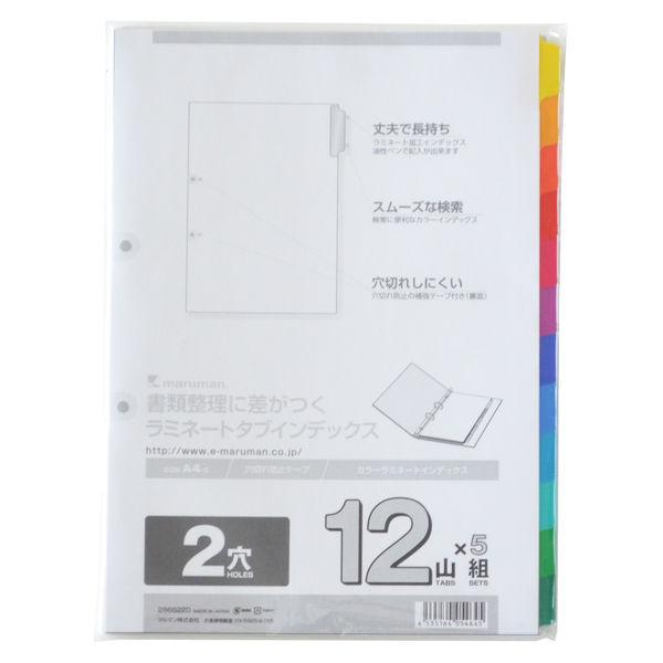 LOHACO - アスクル インデックス A4 ラミネートタブ 2穴 12山 扉紙無 5