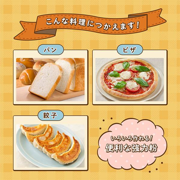 ニップン ふっくらパン強力小麦粉 1kg 1個 強力粉 ニップン ふっくらパン強力小麦粉 1kg 1個 強力粉