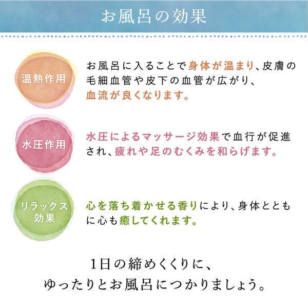 LOHACO - 入浴剤 バスソルト 汗かきエステ気分 リラックスナイト 500g