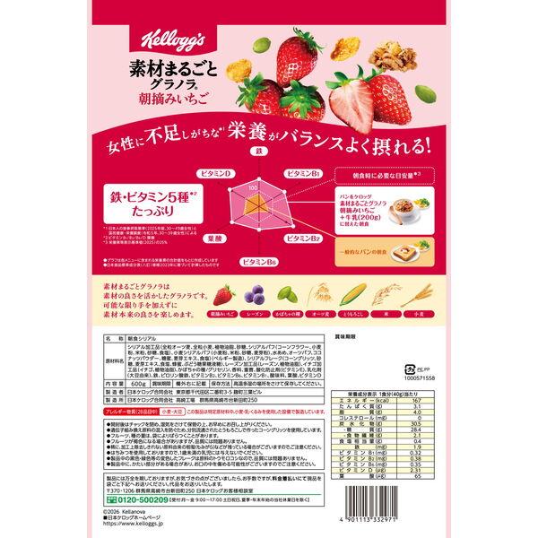 LOHACO - シリアル グラノーラ 素材まるごとグラノラ 朝摘みいちご 大
