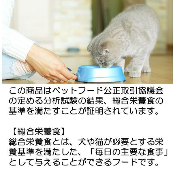 LOHACO - シーバ デュオ 厳選お魚とお肉味グルメセレクション 200g 12