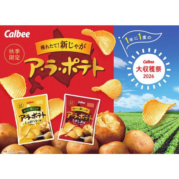 LOHACO - ア・ラ・ポテトうすしお味60g 1セット（1個×6） スナック