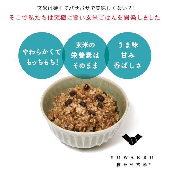 LOHACO - 寝かせ玄米ごはんパック4種 12食アソートセット（小豆4食