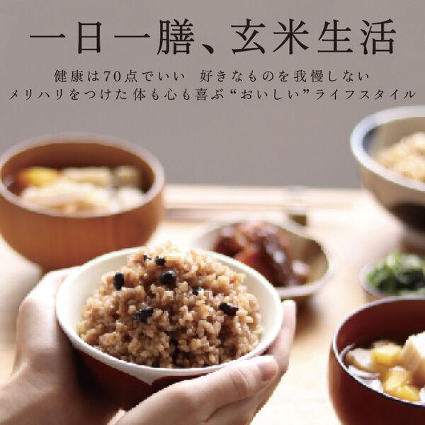 LOHACO - 寝かせ玄米ごはん ゆめぴりか100% 160g 結わえる 1セット（1