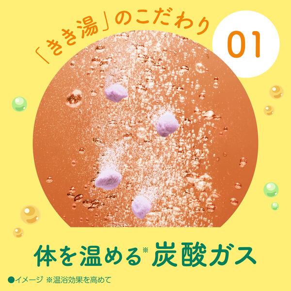 LOHACO - 薬用 入浴剤 炭酸 きき湯 ナトリウム芒硝炭酸湯 360g 1個