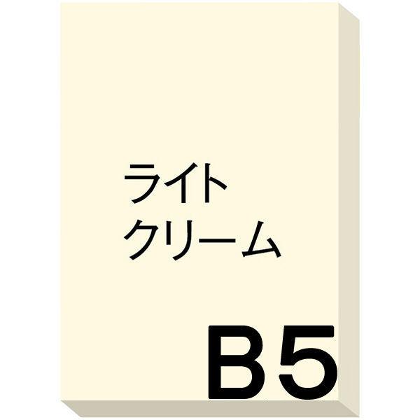 アスクル カラーペーパー B5 ライトクリーム 1箱（500枚×10冊入）  オリジナル