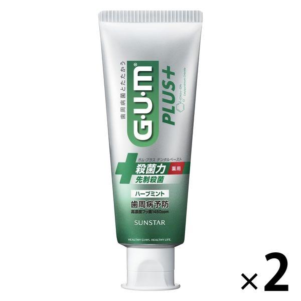 （セール）歯磨き粉 ガム プラス デンタルペースト ハーブミント 120g 1セット（2本）サンスター GUM 殺菌 高濃度フッ素配合 むし歯予防