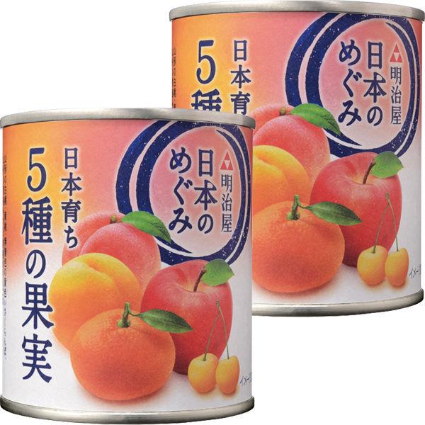 明治屋 日本のめぐみ 日本育ち 5種の果実 1セット（2個）