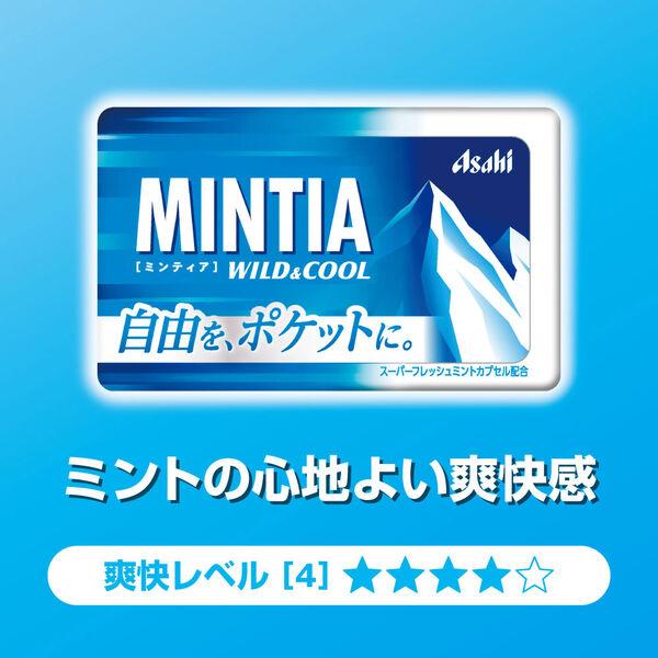 LOHACO - MINTIA（ミンティア） ワイルド＆クール 10個 アサヒグループ