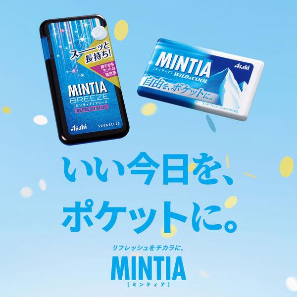 LOHACO - MINTIA（ミンティア） ワイルド＆クール 10個 アサヒグループ