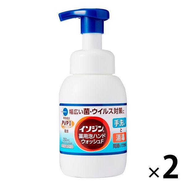 大特価放出 シオノギヘルスケア 2個セット 250ml イソジン薬用泡ハンドウォッシュf 手指消毒剤 手指消毒用品