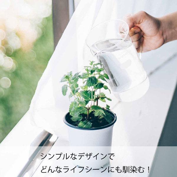 LOHACO - ビーカー サーバー 500mL 耐熱ガラス 目盛り付き TBV-500 1個