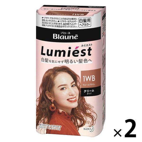 ブローネ ルミエストヘアカラー 1WB ウォームB 2個 花王
