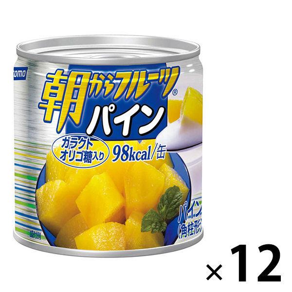 はごろもフーズ 朝からフルーツパイン 190g  12缶