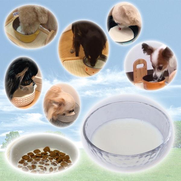 わんちゃんの国産牛乳 乳酸菌プラス 200ml 国産 10個 ドギーマン ドッグフード 犬 おやつ ミルク