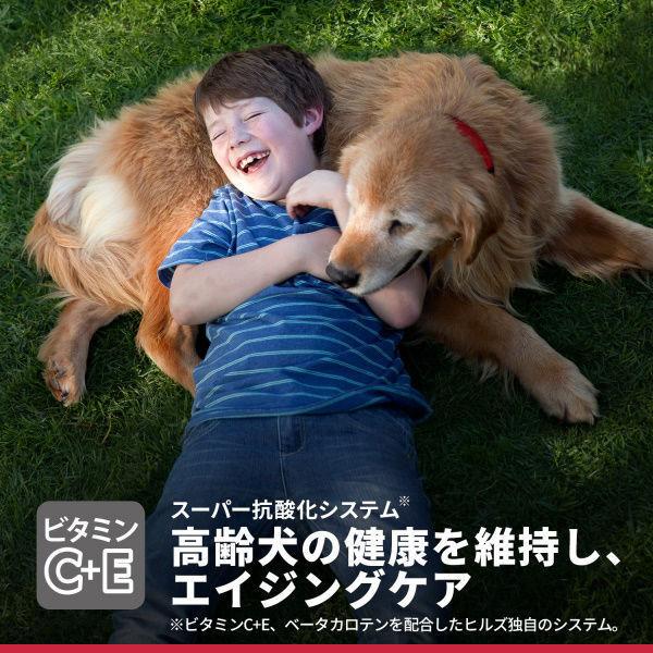 【ワゴンセール】サイエンスダイエット (SCIENCE DIET) ドッグフード シニアプラス  高齢犬用 10歳以上 小粒 チキン 1.4kg（わけあり品）