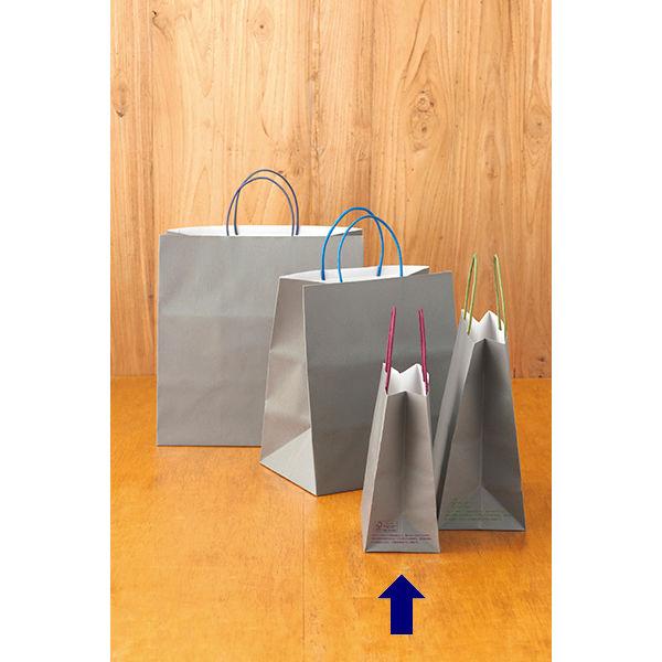 アスクルカタログ リサイクル手提げ紙袋「Come bag／カムバッグ」180×210×100mm 1箱（300枚） オリジナル
