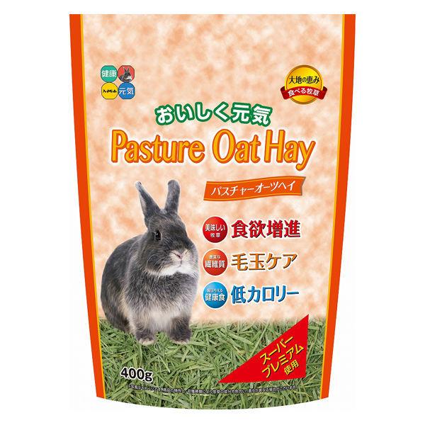 パスチャーオーツヘイ 小動物用 400g ハイペット