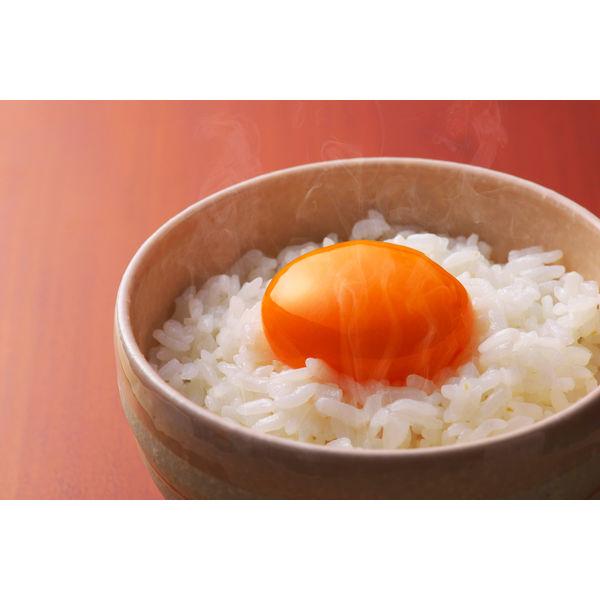 LOHACO - 【180g×10食】低温製法米のおいしいごはん 国産米100%使用 4