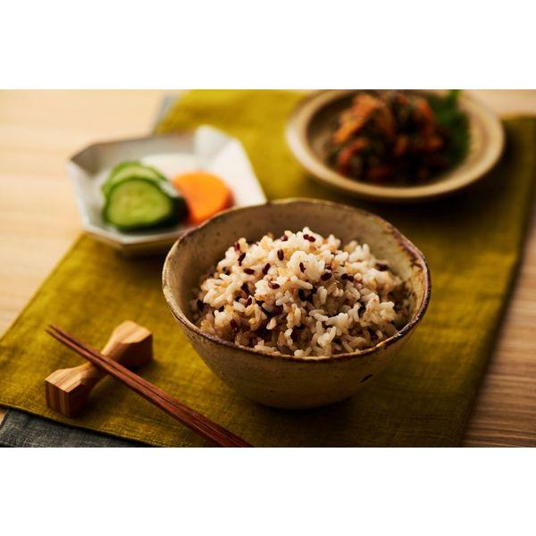 LOHACO - パックごはん6食 発芽玄米ごはん160g 6個幸南食糧