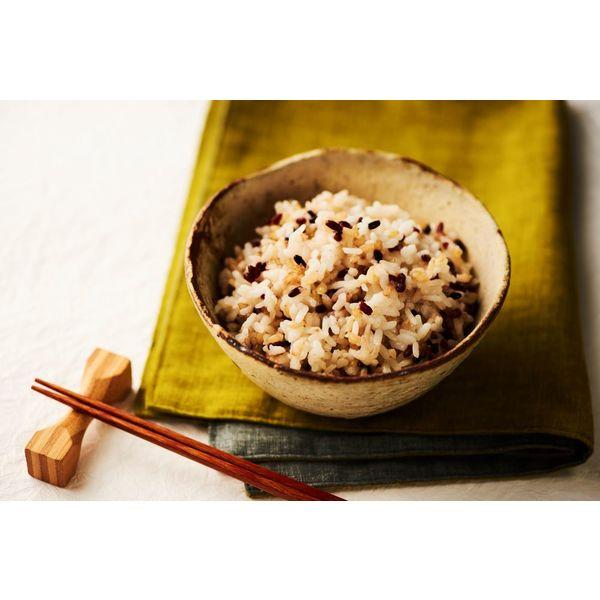 LOHACO - パックごはん6食 発芽玄米ごはん160g 6個幸南食糧