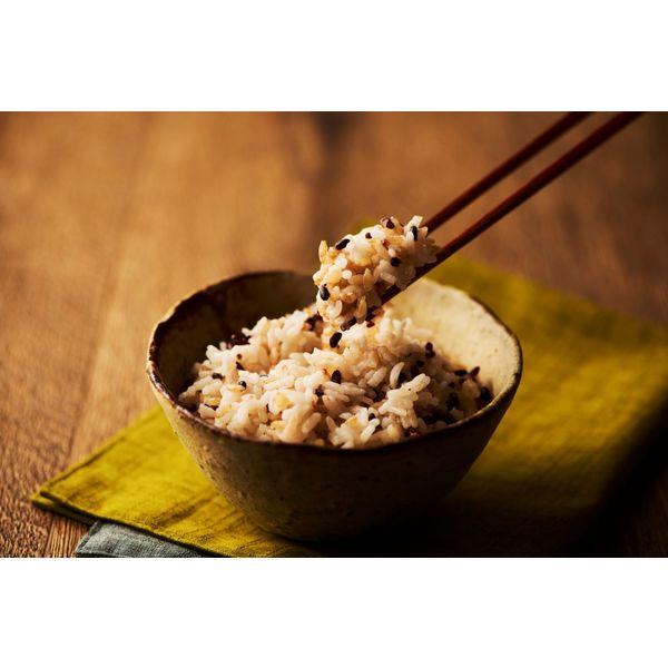 LOHACO - パックごはん6食 発芽玄米ごはん160g 6個幸南食糧