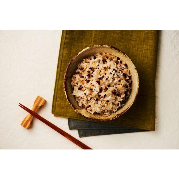 農家の新米　パックごはん　40パック LOHACO - パックごはん6食 発芽玄米ごはん160g 6個幸南食糧
