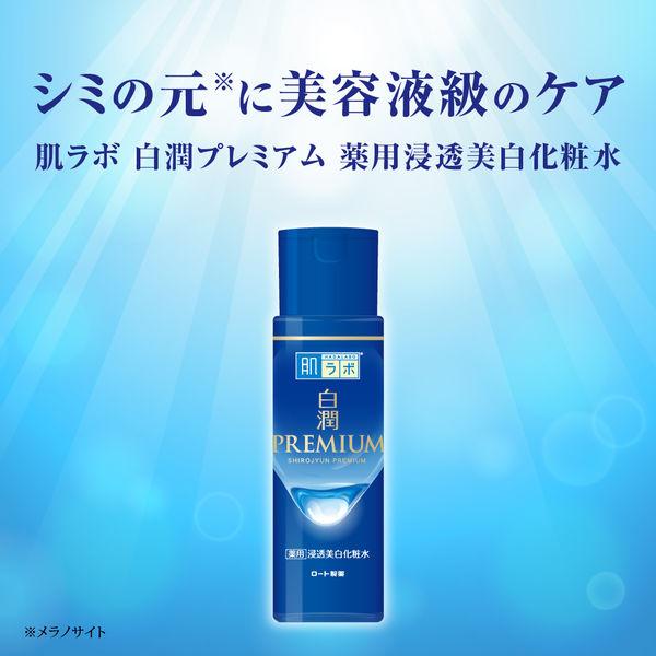 LOHACO - 肌ラボ 白潤プレミアム 薬用浸透美白化粧水 170mL ロート製薬