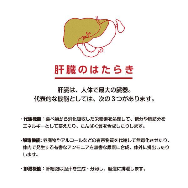 LOHACO - グロンサン内服液 20ml×30瓶 レック 滋養強壮 虚弱体質 肉体