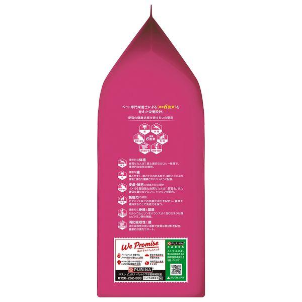 LOHACO - ピュリナワン 猫 子猫用 サーモン＆ツナ 2kg（500g×4袋）1袋