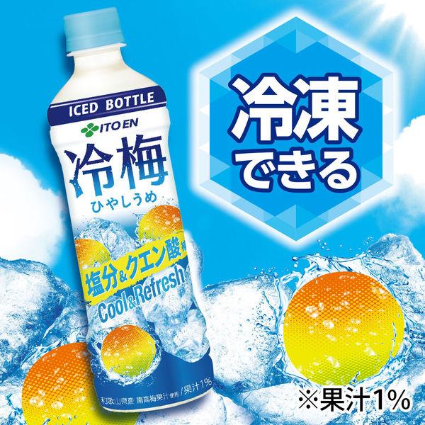 LOHACO - 伊藤園 冷梅 ひやしうめ 冷凍兼用ボトル 500g【スポーツ
