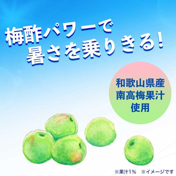 LOHACO - 伊藤園 冷梅 ひやしうめ 冷凍兼用ボトル 500g【スポーツ