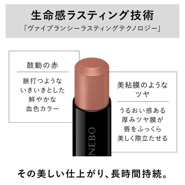 LOHACO - KANEBO（カネボウ） ルージュスターヴァイブラント EX11 数量限定