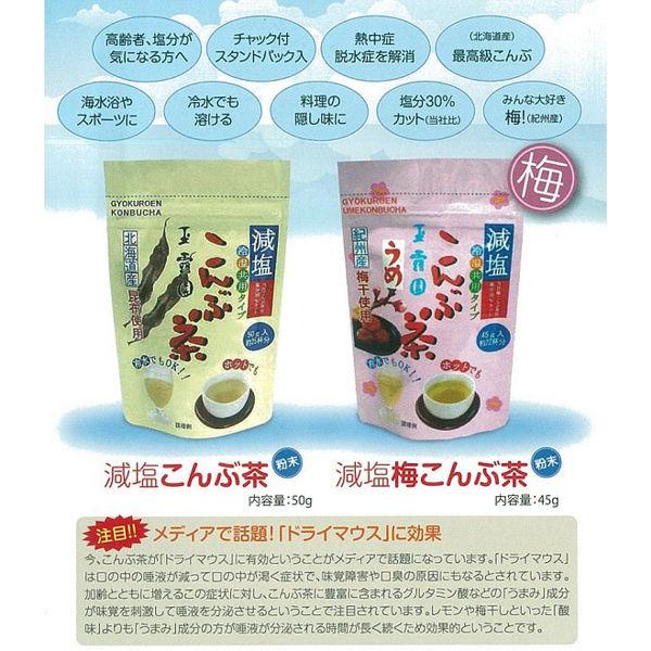LOHACO - 玉露園 減塩梅こんぶ茶 スタンドパック 1袋（45g）