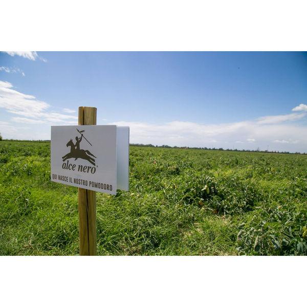 アルチェネロ アルチェネロ有機トマトピューレー 200g&times;3P 1セット（8個）