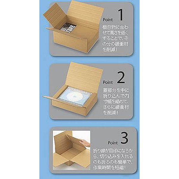 ひょっこり様　ページ LOHACO - 森紙業 多罫線段ボール 底面A4 108451 1セット(60枚:20枚入×3