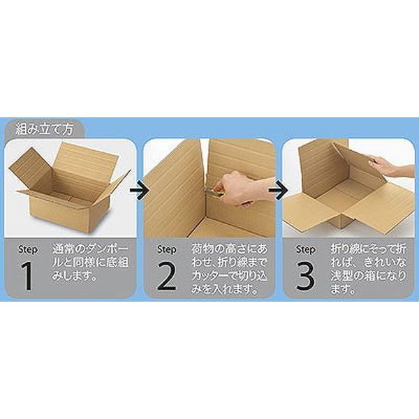 ひょっこり様　ページ LOHACO - 森紙業 多罫線段ボール 底面A4 108451 1セット(60枚:20枚入×3
