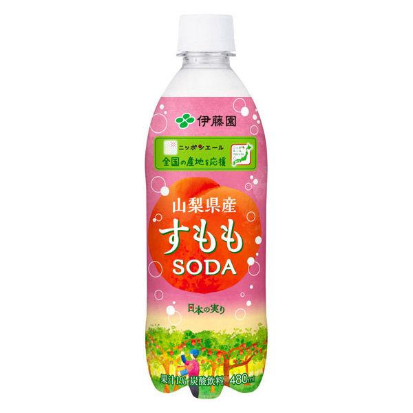 LOHACO - 伊藤園 ニッポンエール 山梨県産すももソーダ 480ml 1箱（24