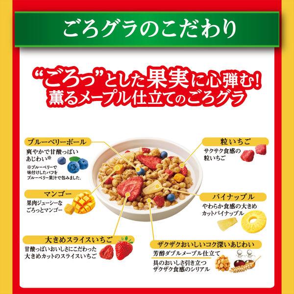 LOHACO - ごろグラ 贅沢果実 1袋 日清シスコ シリアル