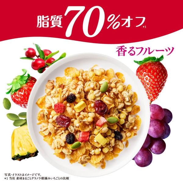 LOHACO - 素材まるごとグラノラ 脂質70%オフ 香るフルーツ 350g 1袋