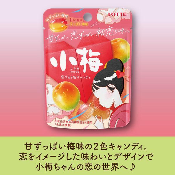 LOHACO - 食べきりサイズ 小梅 ミニパウチ 甘ずっぱい梅味 27g 1個