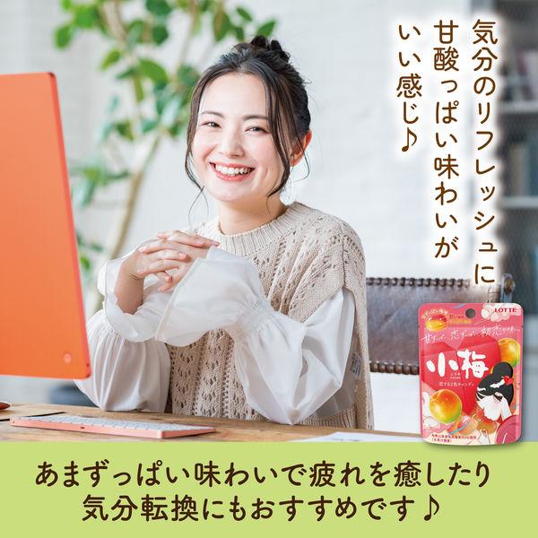 LOHACO - 食べきりサイズ 小梅 ミニパウチ 甘ずっぱい梅味 27g 1個