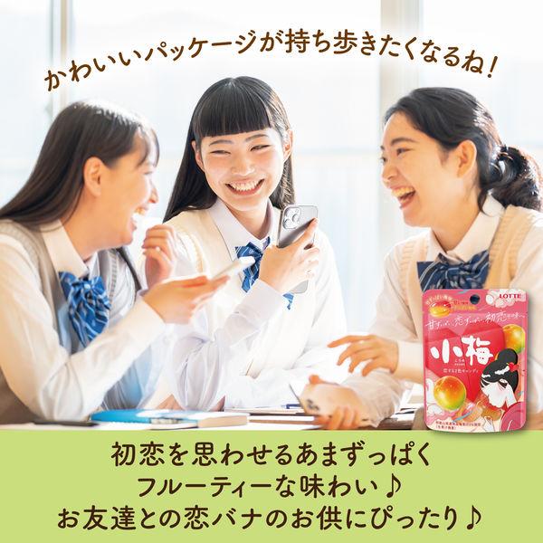 LOHACO - 食べきりサイズ 小梅 ミニパウチ 甘ずっぱい梅味 27g 1セット