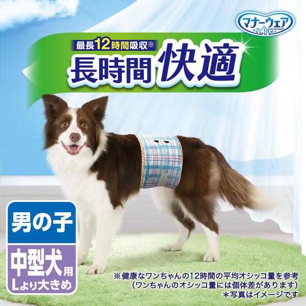 LOHACO - マナーウェア 男の子用 長時間快適オムツ 高齢犬にも Lより
