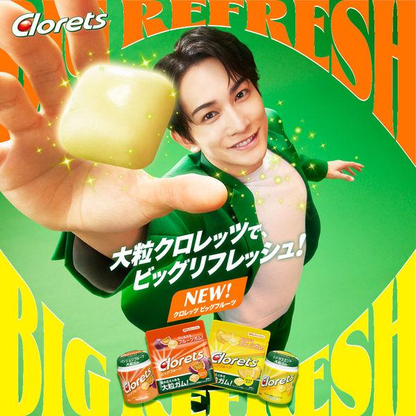 LOHACO - ガム クロレッツ ビッグフルーツ シトラスミント ミニパウチ 1個