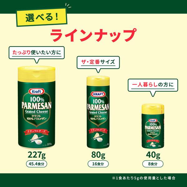 LOHACO - 森永乳業 クラフト パルメザンチーズ100％ 80g 1セット（2個