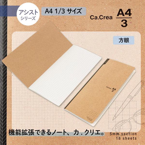 プラス ノート カ.クリエ A4×1 3 NSシリーズ 5mm方眼 ブラック プラス ノート カ.クリエ A4×1 3 NSシリーズ 5mm方眼 ブラック