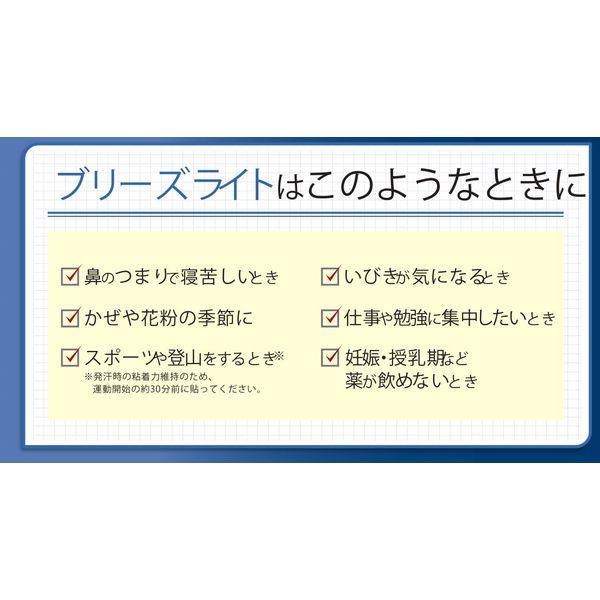 LOHACO - ブリーズライトスタンダード ラージ 1個（10枚入） 5個セット
