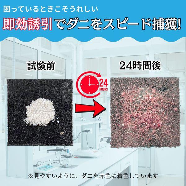 LOHACO - タニサケ ダニ捕り番長 置くだけシート 2枚入 50029037 1個